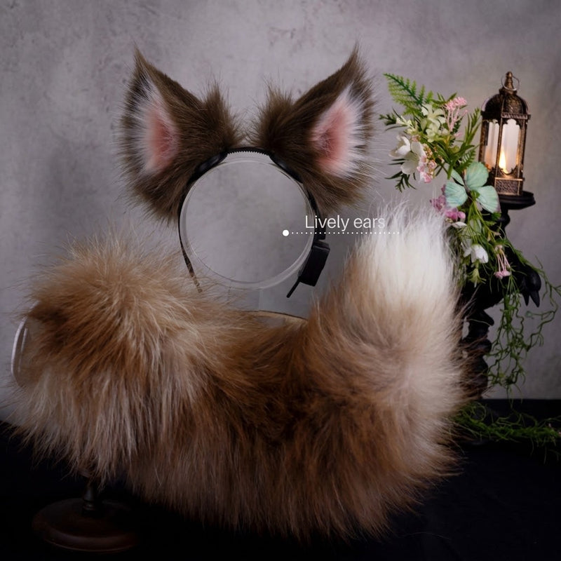 Moving Border Collie Ears and tail