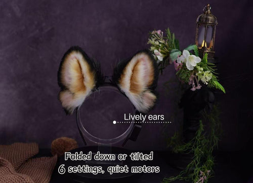 Moving Black & Tan Dog Ears and Tail — photo 2