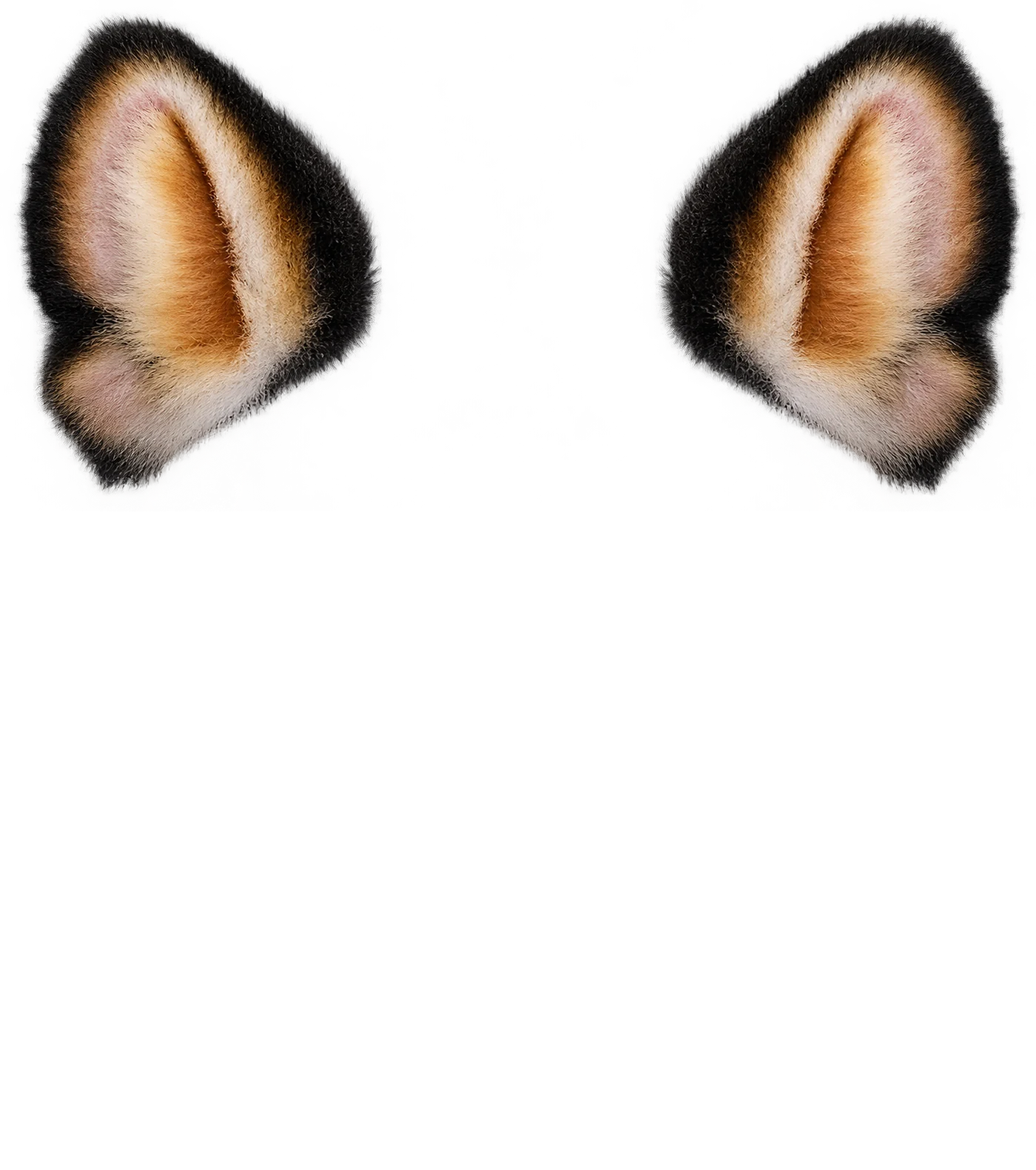 The black and tan faux fur ear covers